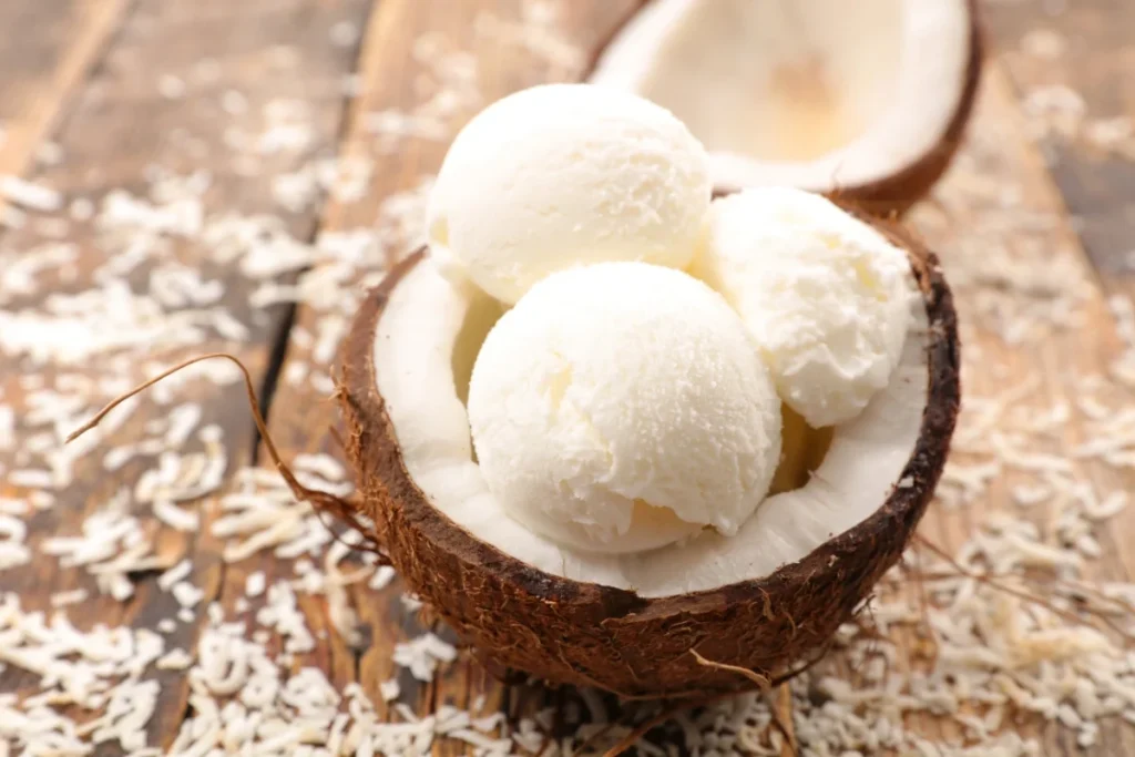 Coconut Milk Ice Cream (2)