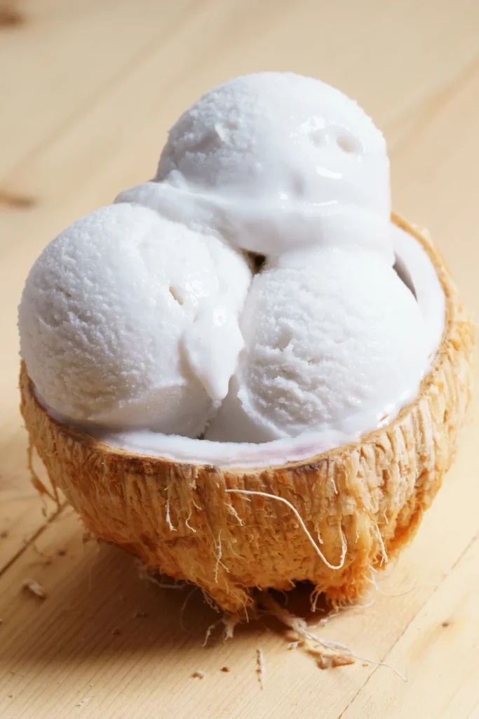 Coconut Milk Ice Cream